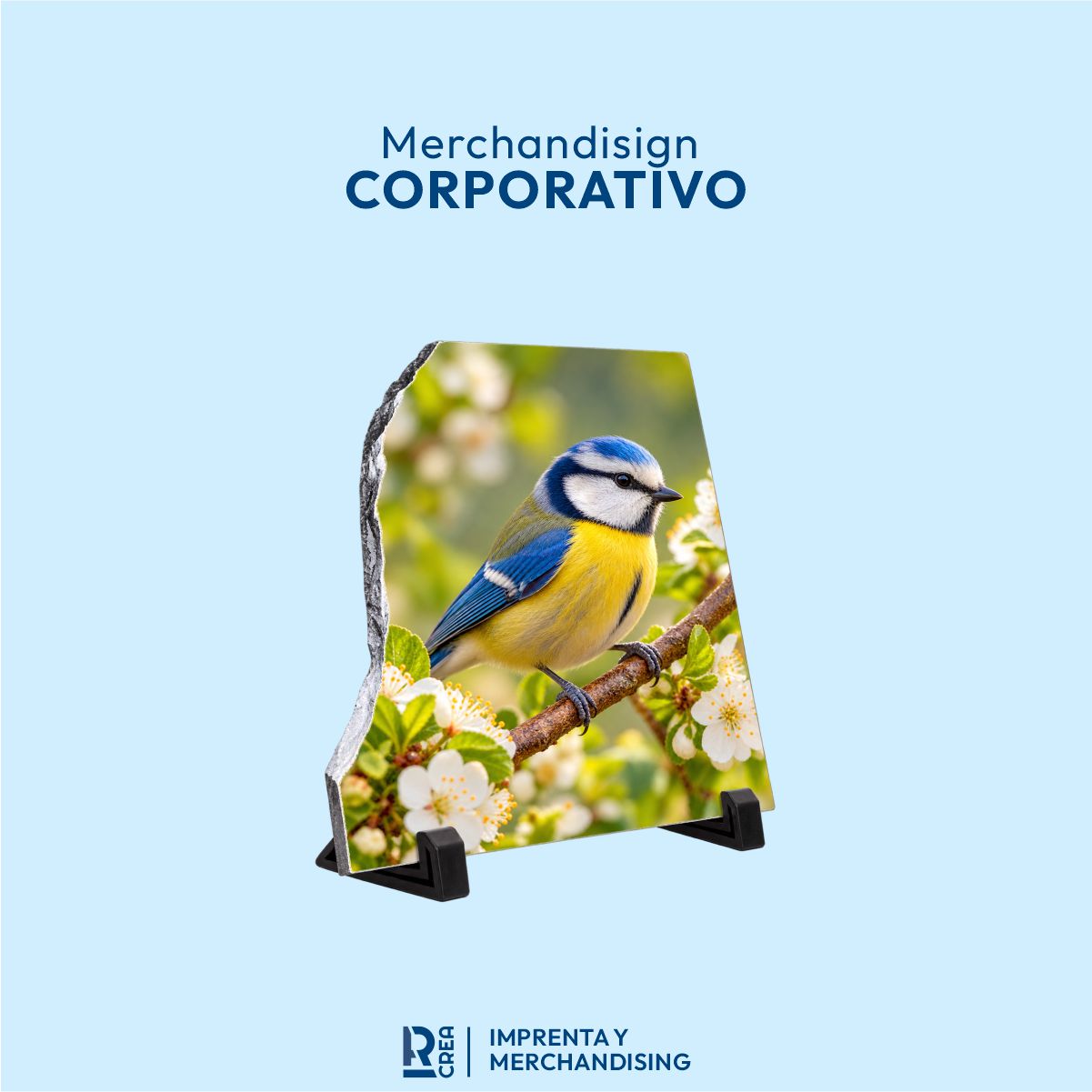 FOTOROCA ARCO IZQUIERDO 20 × 20 CM FOTOROCA ARCO IZQUIERDO 20 × 20 CM - Imagen 1